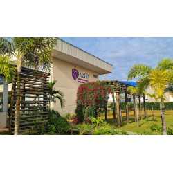 formation clinique au Brésil débutant