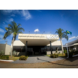 formation clinique au Brésil débutant